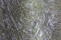 Llandilo Yr Ynys fibreglass roof work